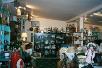 curio_4