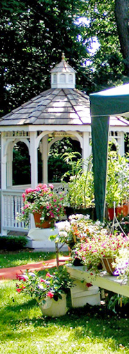Westport Woman Club