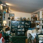 Curio Cottage Curio Cottage