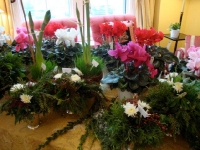 holiday-season-2011-7