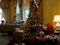 holiday-season-2011-8