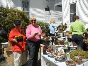 Janette Duchnicki and Linda Amos getting bright annuals ready for the Plant Sale